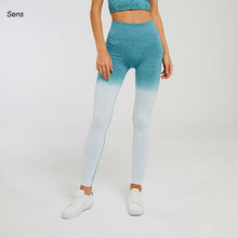 Load image into Gallery viewer, Hot Yoga Gym Set  Leggings Yoga Sport Leggings Sportswear
