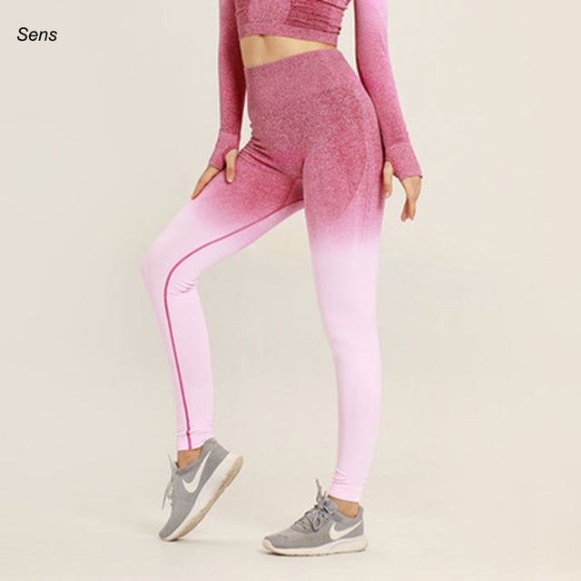 Hot Yoga Gym Set  Leggings Yoga Sport Leggings Sportswear