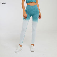 Load image into Gallery viewer, Hot Yoga Gym Set  Leggings Yoga Sport Leggings Sportswear
